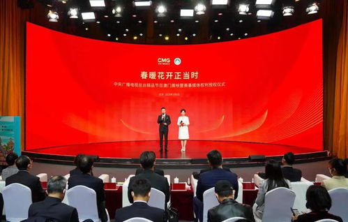 央視新聞主播,剛強和王端端時隔11年再同臺主持,都有同一個問題