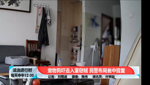 btv法治進(jìn)行時(shí)的主頁(yè)